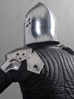 Espauliers fantastiques l'appareil des spallières d'ArmStreet