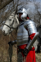 Le harnois polonais historique de plaques de chevalier hussard