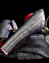 Nouvelle ligne de l'armure pour combats avec un design exclusif