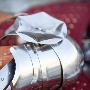 Armure des bras médiévale «Chien de Guerre»