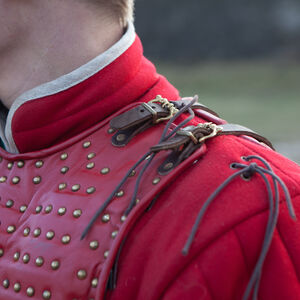 Brigandine médiévale en cuir « Oiseau de Proie »