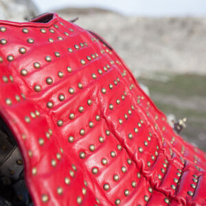Brigandine médiévale en cuir « Oiseau de Proie »