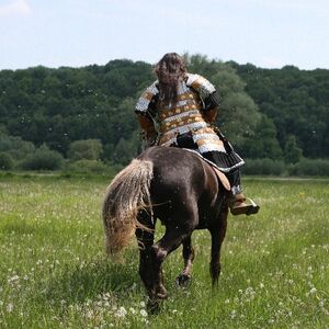 Armure de combat exclusive lamellaire ArmStreet