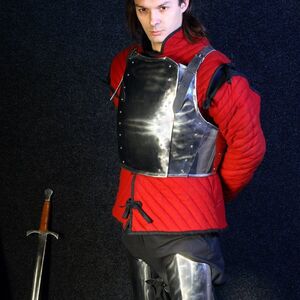 Armure de plaques de combat des chevaliers de l'Ouest du XIVème siècle ArmStreet