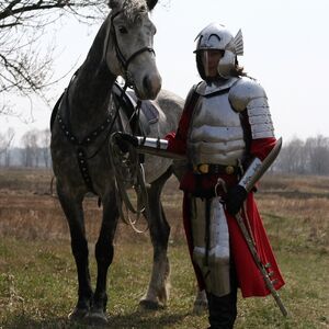 Armure polonaise historique de plaques de chevalier hussard ArmStreet