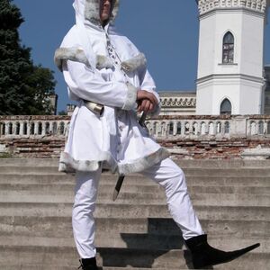 MEDIEVAL VELVET COAT TUNIC GARB - TAPPERT AND HOOD