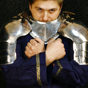 MEDIEVAL WESTERN ARMOR GORGET AND SPAULDERS