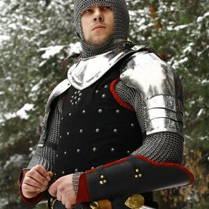 MULTILAYERED "WISBY" TYPE BRIG 