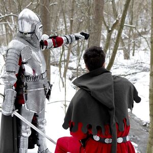 Achetez la cuirasse d'armure médiévale "Paladin"