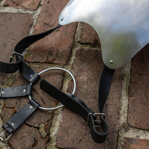 Plastron monobloc léger en acier à ressort "Chevalier des Bois" pour WMA AMHE Harnischfechten