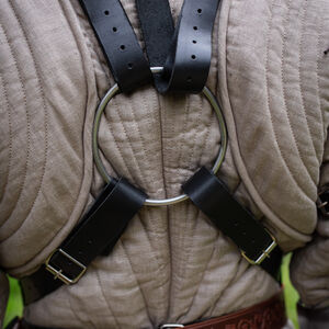 Plastron monobloc léger en acier à ressort "Chevalier des Bois" pour WMA AMHE Harnischfechten