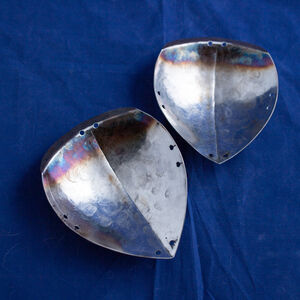 Spallières d’escrime durcies légères WMA