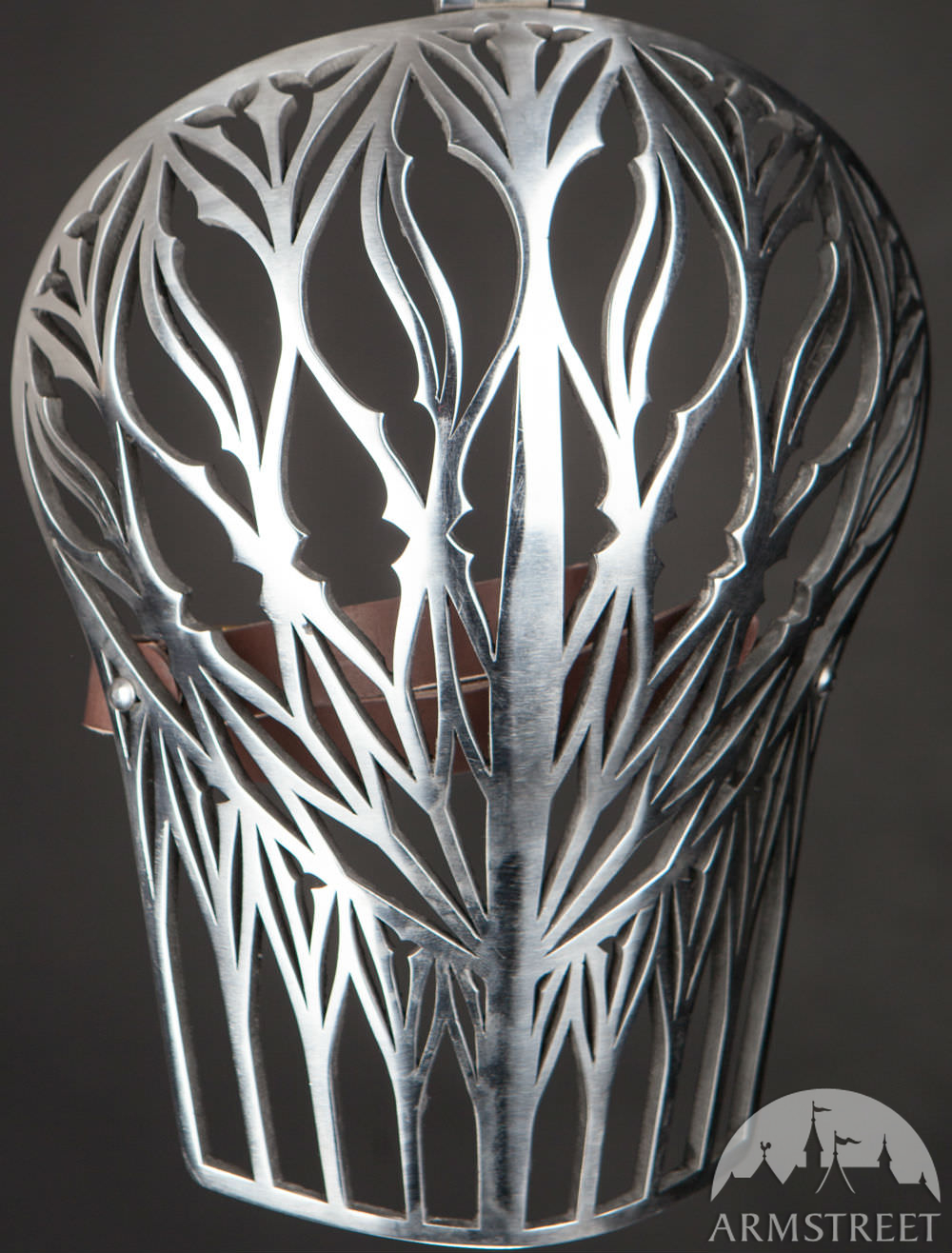 Common - foliate_visor.jpg